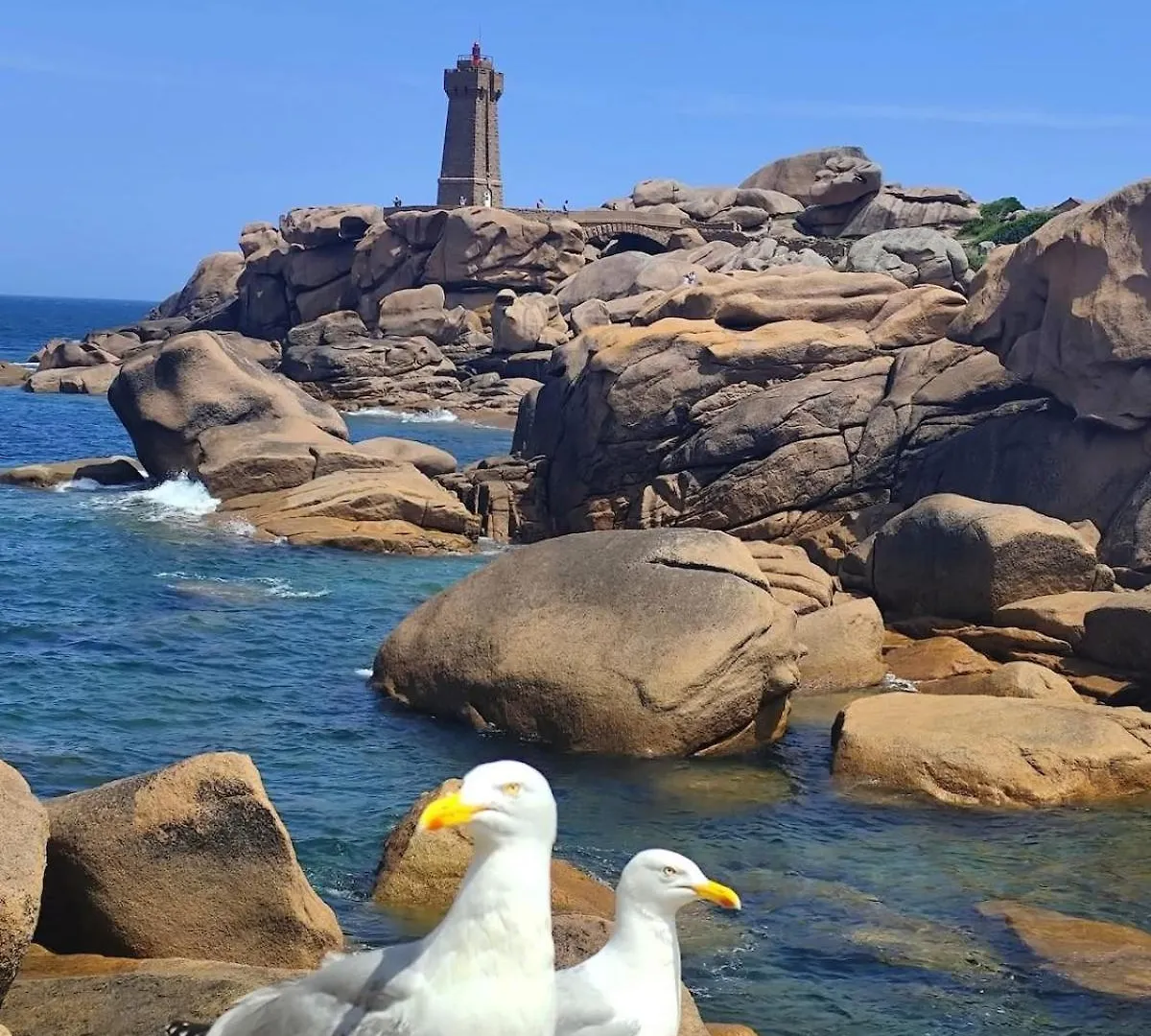 Appartement Vue Mer, Gr 34 Et Plage Au Pied ! 플라우가스누